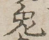 已定位兎