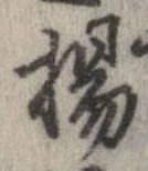 已定位楊
