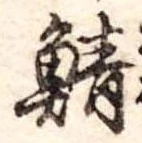 已定位鯖