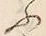 “賑”字