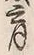 𡨸育