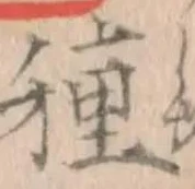 Chữ 種