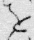 “転”字
