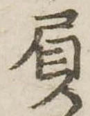 Đã định vị 屓