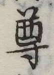 尊の位置