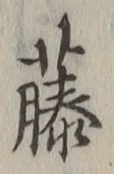 글자 藤