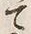 字村