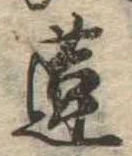 Đã định vị 蓮