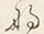 𡨸な