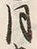 字磐