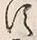 Character 神