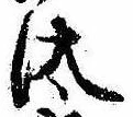 已定位汰