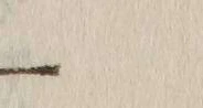 文字𪜈