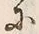 𡨸心