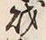 字財