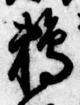已定位鵜