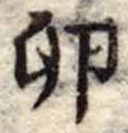 Đã định vị 卵