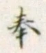 Chữ 奉