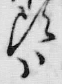 𡨸頭