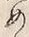 文字め