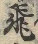 已定位飛