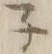 字子