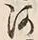 「河」字