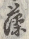 已定位藻