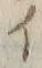 「イ」字