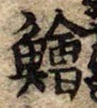 鱠の位置