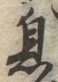 已定位息