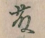 已定位藤
