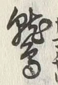 Character 鷲