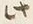 文字 此
