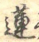 Đã định vị 蓮