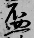 已定位盃