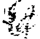 位置定マレル謹