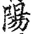 Character 陽