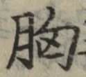 文字 胸