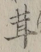 字茸