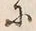 文字初