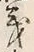 𡨸義