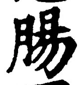 “腸”字