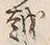 字山
