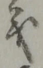 位置 確認된 支
