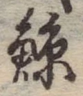 已定位鯨