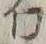 文字𪜈