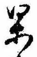 位置定マレル果