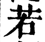 「若」字