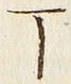 文字丁